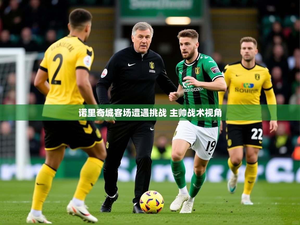 2025云开体育官网诺里奇城客场遭遇挑战 主帅战术视角