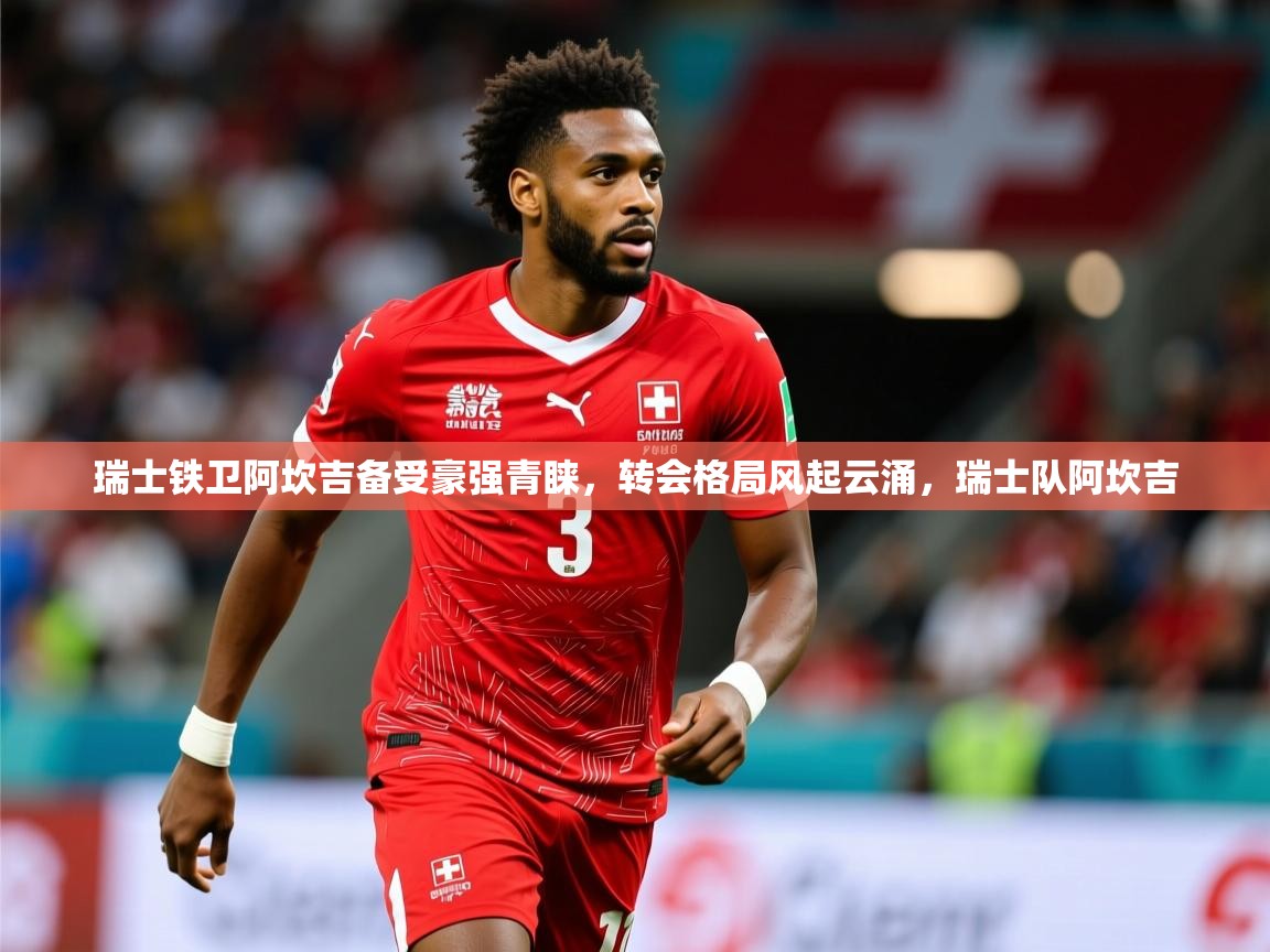 2025开云kaiyun体育app入口下载官网瑞士铁卫阿坎吉备受豪强青睐，转会格局风起云涌，瑞士队阿坎吉  第1张