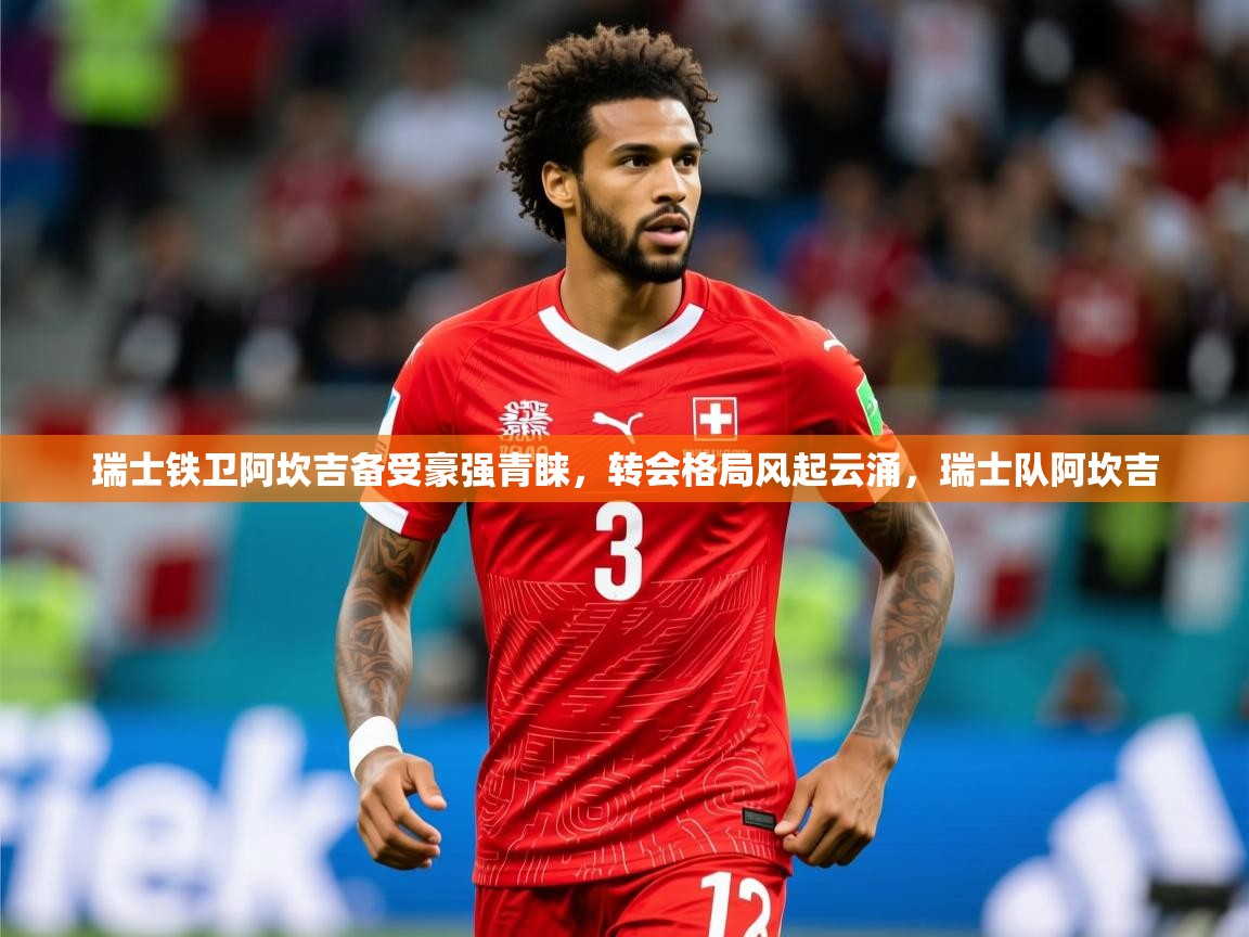 2025开云kaiyun体育app入口下载官网瑞士铁卫阿坎吉备受豪强青睐，转会格局风起云涌，瑞士队阿坎吉  第2张
