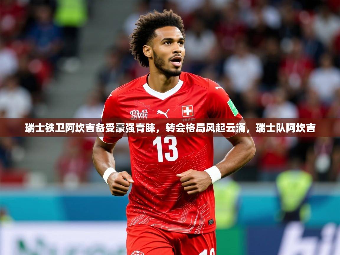 2025开云kaiyun体育app入口下载官网瑞士铁卫阿坎吉备受豪强青睐，转会格局风起云涌，瑞士队阿坎吉  第3张