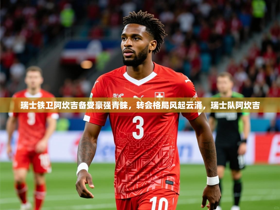 2025开云kaiyun体育app入口下载官网瑞士铁卫阿坎吉备受豪强青睐，转会格局风起云涌，瑞士队阿坎吉  第4张
