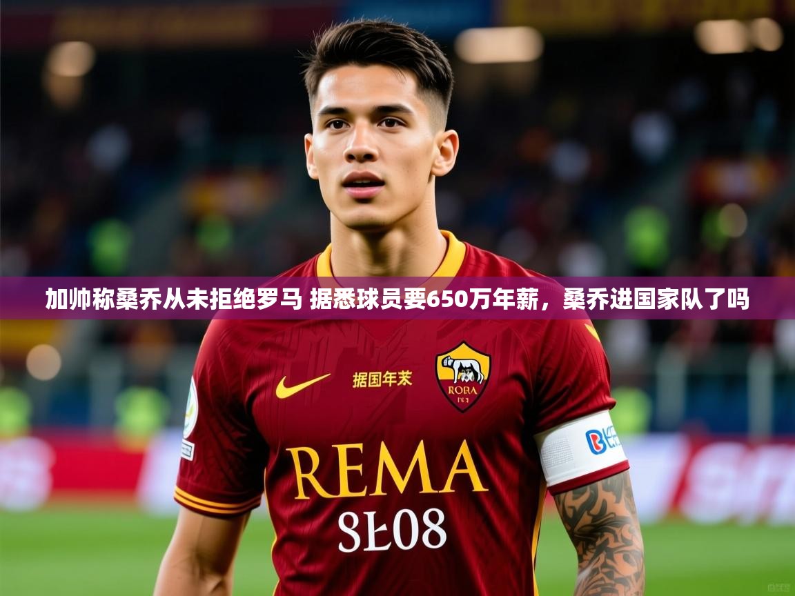 2025云开体育官方网站登录加帅称桑乔从未拒绝罗马 据悉球员要650万年薪,桑乔进国家队了吗 第2张