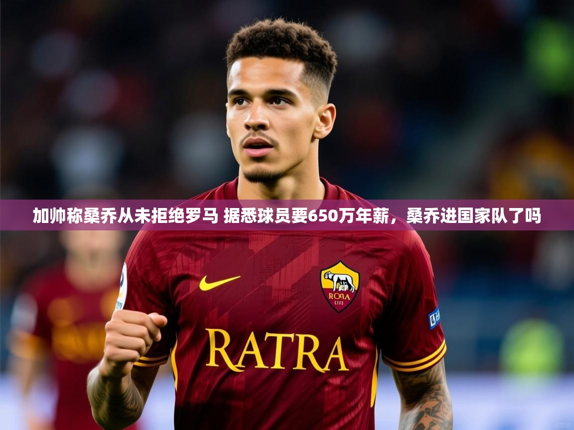 2025云开体育官方网站登录加帅称桑乔从未拒绝罗马 据悉球员要650万年薪,桑乔进国家队了吗 第3张