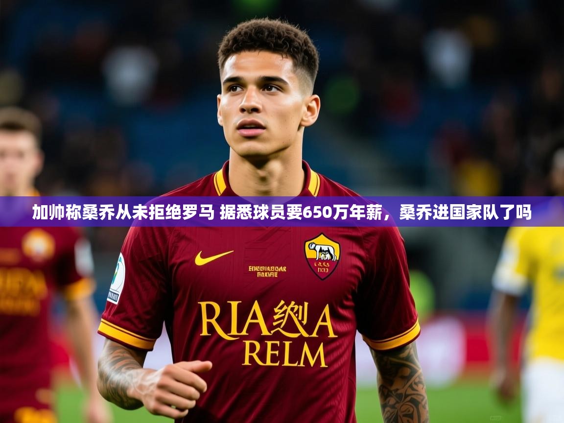 2025云开体育官方网站登录加帅称桑乔从未拒绝罗马 据悉球员要650万年薪,桑乔进国家队了吗 第4张